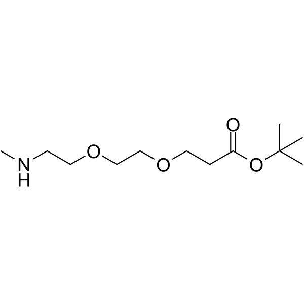 Methylamino-PEG2-t-butyl ester 1807521-04-5
